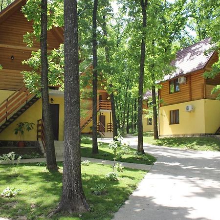 Hotel Вілія Lomacineţi Exterior foto