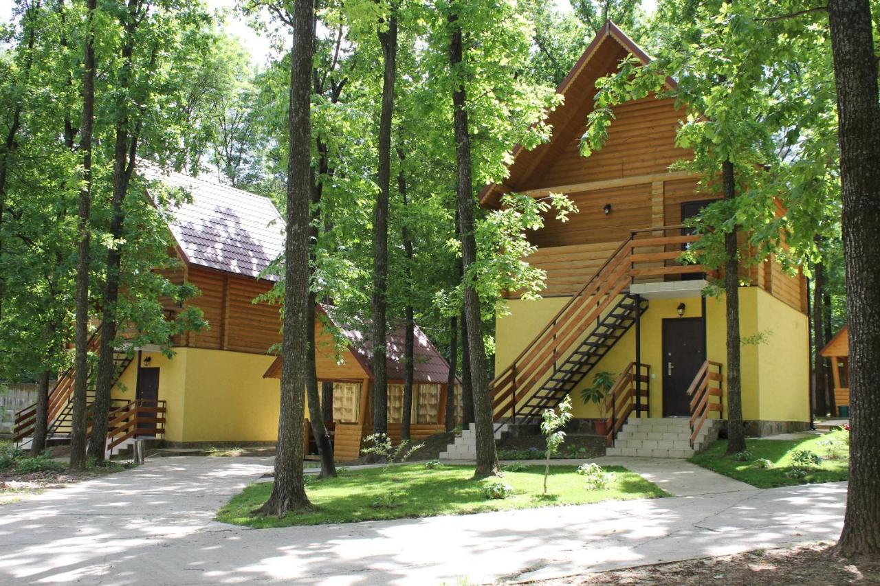 Hotel Вілія Lomacineţi Exterior foto